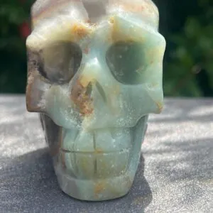 Teschio Calcite Caraibica gr 424