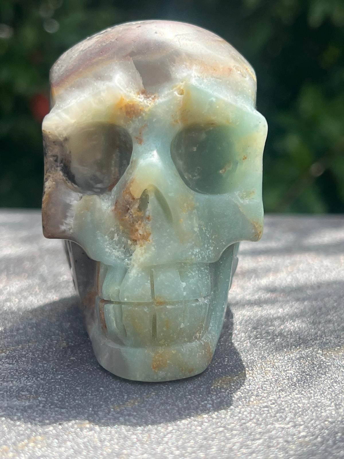 Teschio Calcite Caraibica gr 424