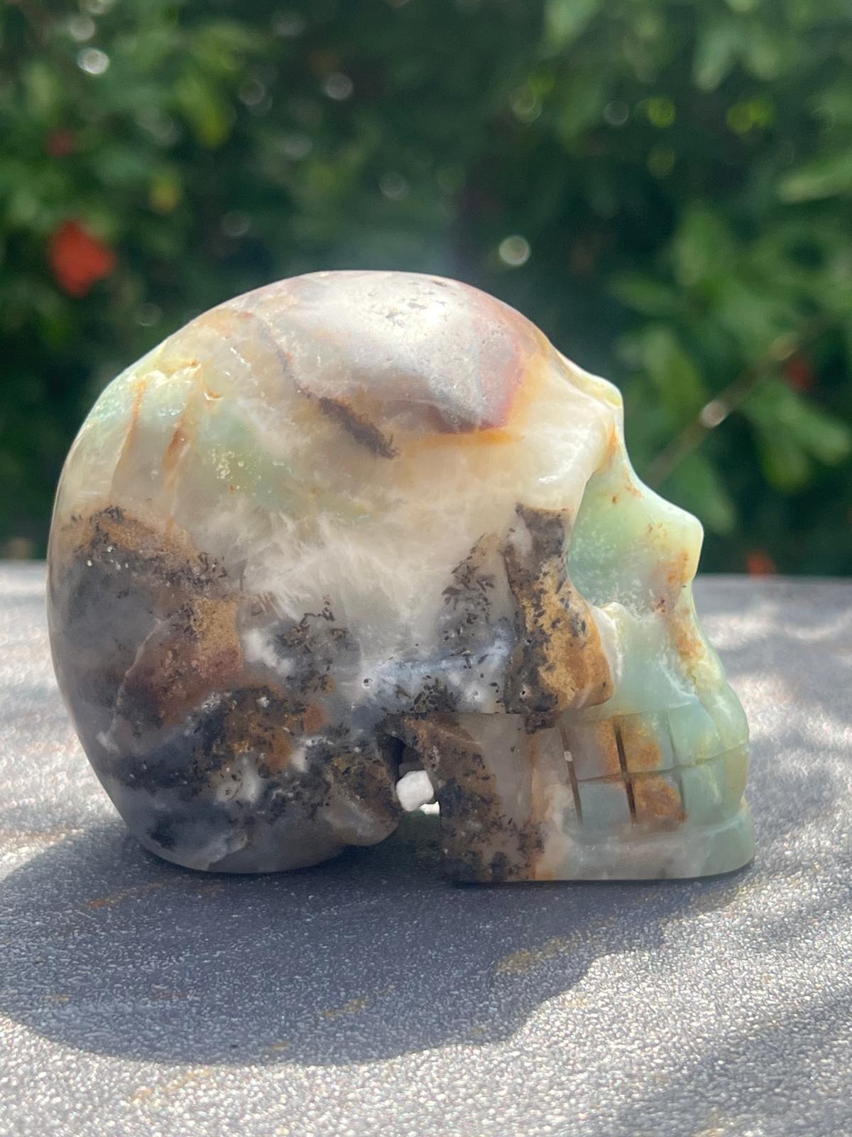 Teschio Calcite Caraibica gr 424 - immagine 3