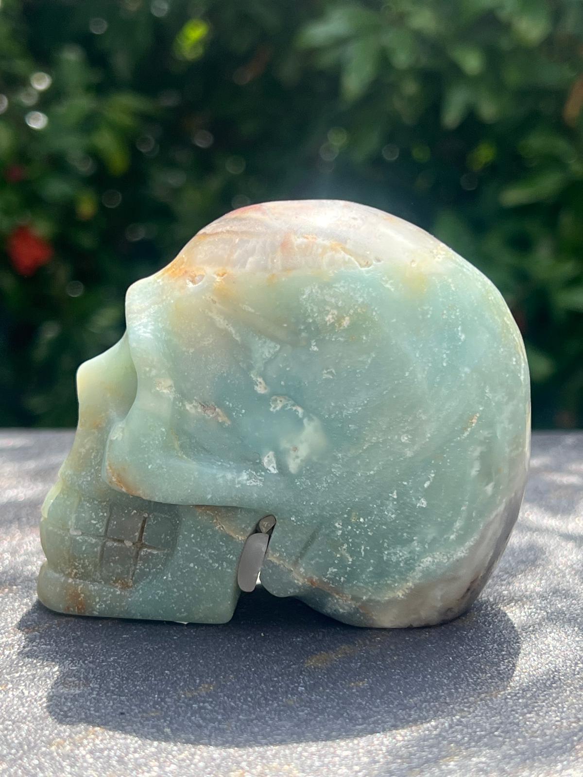 Teschio Calcite Caraibica gr 424 - immagine 5