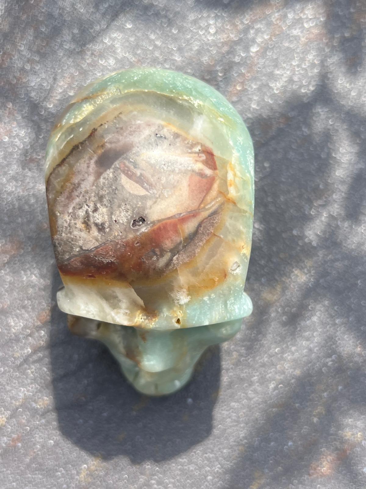 Teschio Calcite Caraibica gr 424 - immagine 6