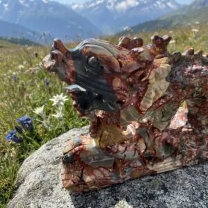 Drago in Diaspro Brecciato / Nongken–Longken Jade ·