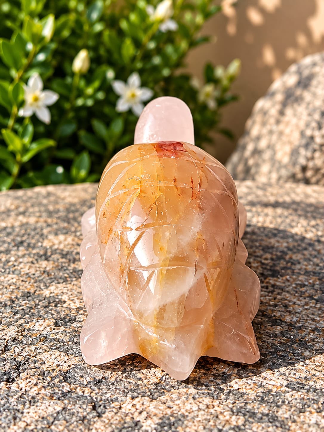 Quarzo Gold Healer Tartaruga - immagine 2